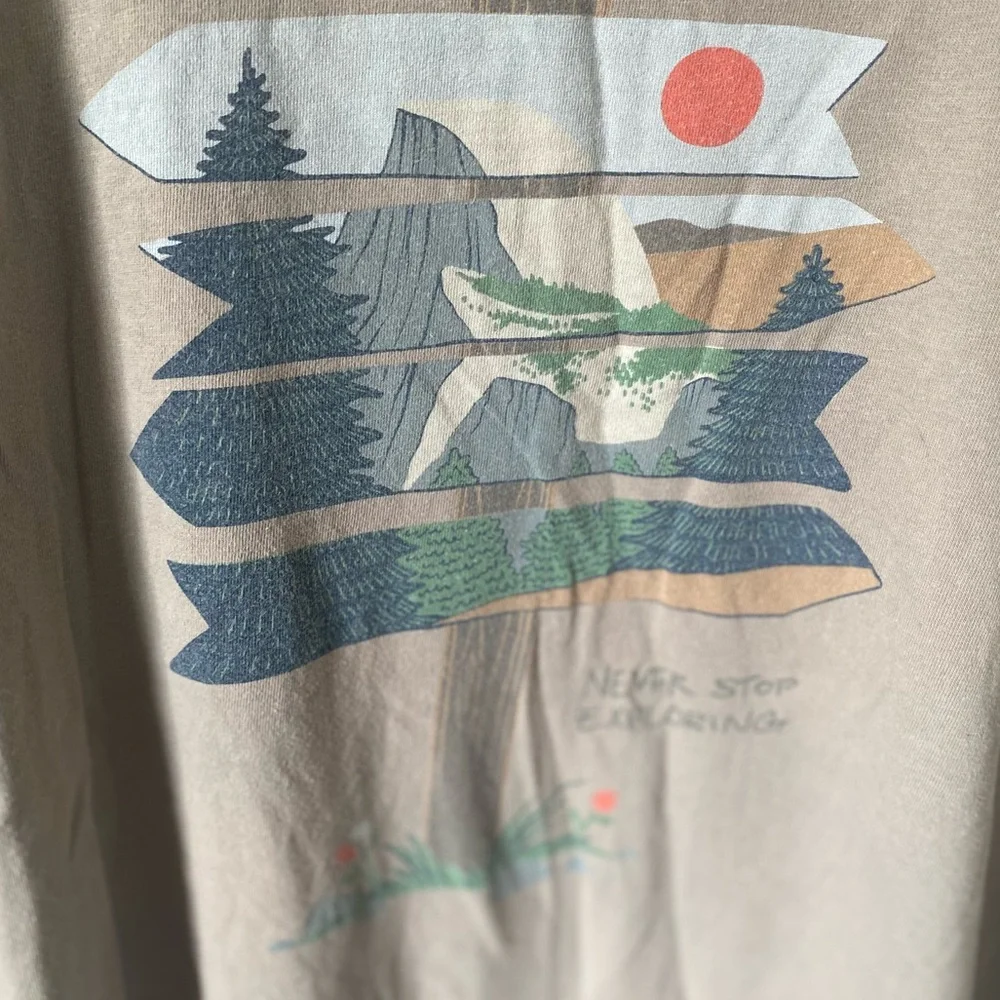 The North Face Men's Taupe Graphic Tee